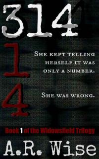 Обложка книги «314»