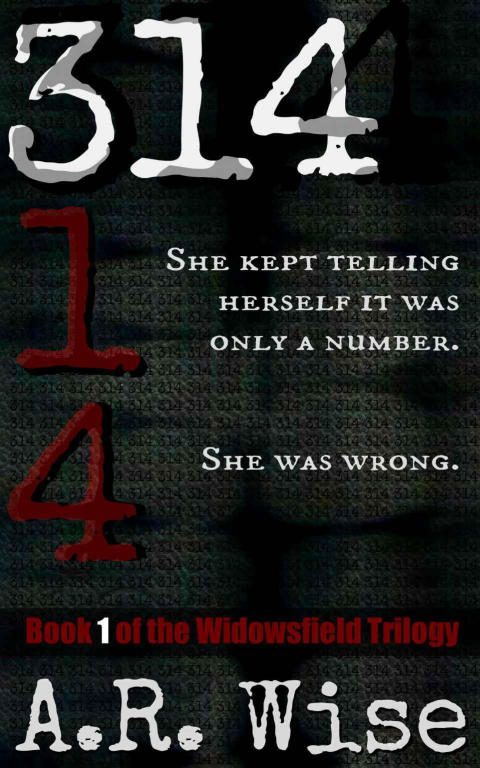 Обложка книги «314»