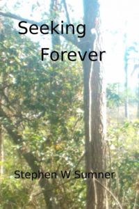 Обложка книги «Seeking Forever»