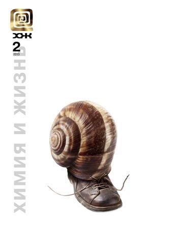 Обложка книги «Кирза»