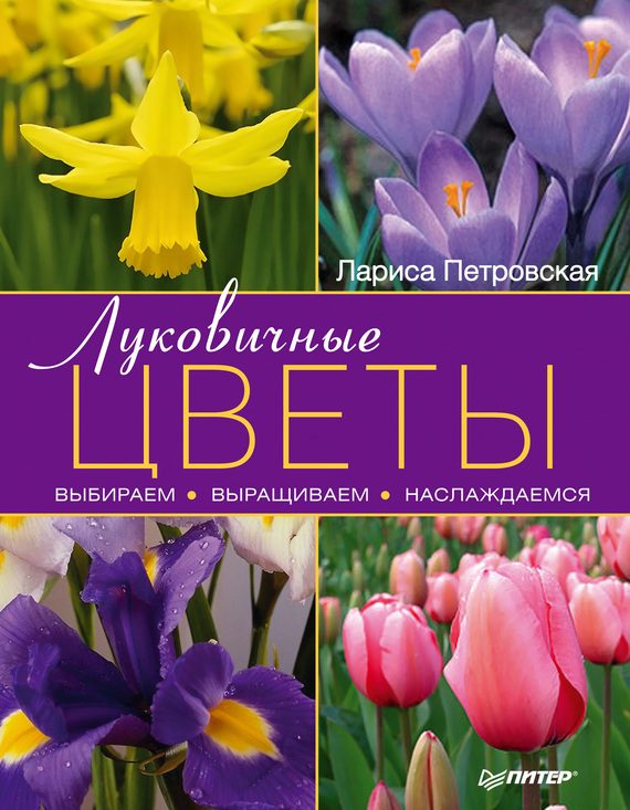 Обложка книги «Луковичные цветы: выбираем, выращиваем, наслаждаемся»