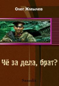 Обложка книги «Чё за дела, брат?»