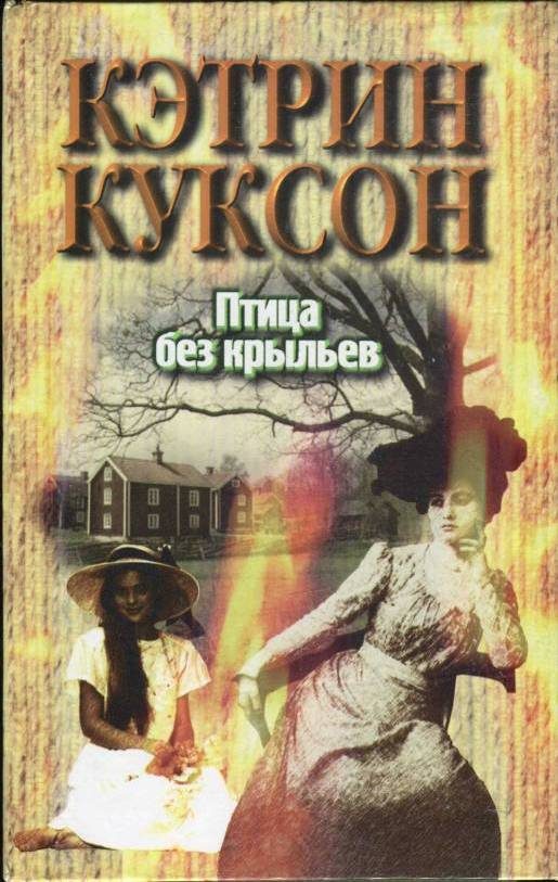 Обложка книги «Птица без крыльев»