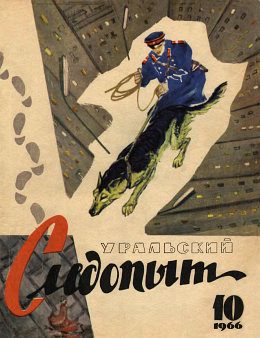 Обложка книги «Затылок в зеркале»
