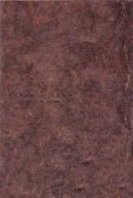 Обложка книги «Пепел и снег: роман в письмах»