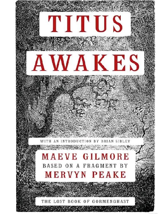 Обложка книги «Titus Awakes»