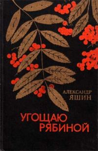 Обложка книги «Волк в городе»