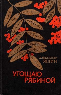 Обложка книги ««Открывать здесь!»»