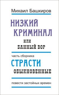 Обложка книги «Низкий криминал, или Банный вор»