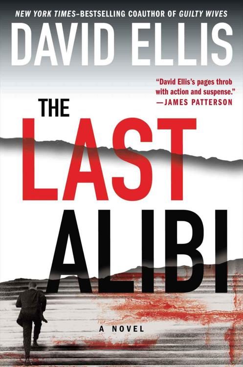 Обложка книги «The Last Alibi»