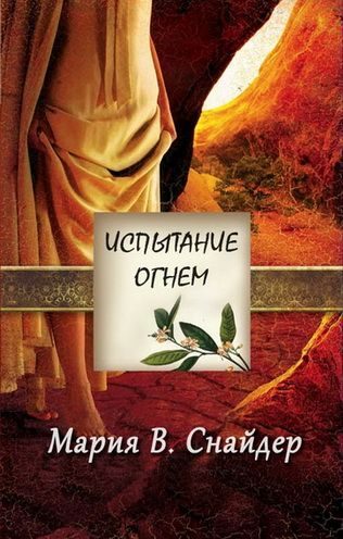 Обложка книги «Испытание огнем»