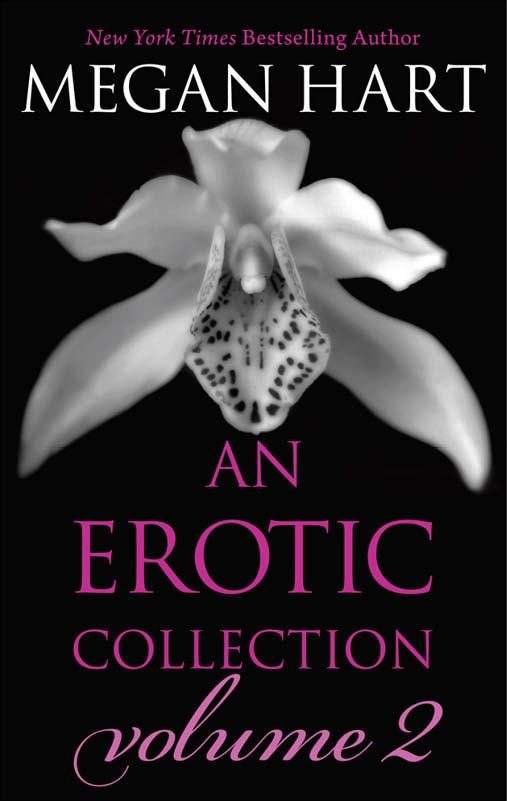 Обложка книги «An Erotic Collection Volume 2»