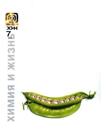 Обложка книги «ГМО: городские мифы»