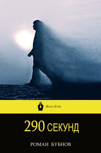 Обложка книги «290 секунд»