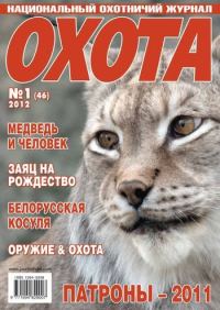 Обложка книги «Рыжая гостья из города»