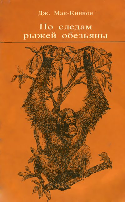 Обложка книги «По следам рыжей обезьяны»