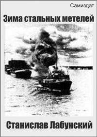 Обложка книги «Зима стальных метелей»