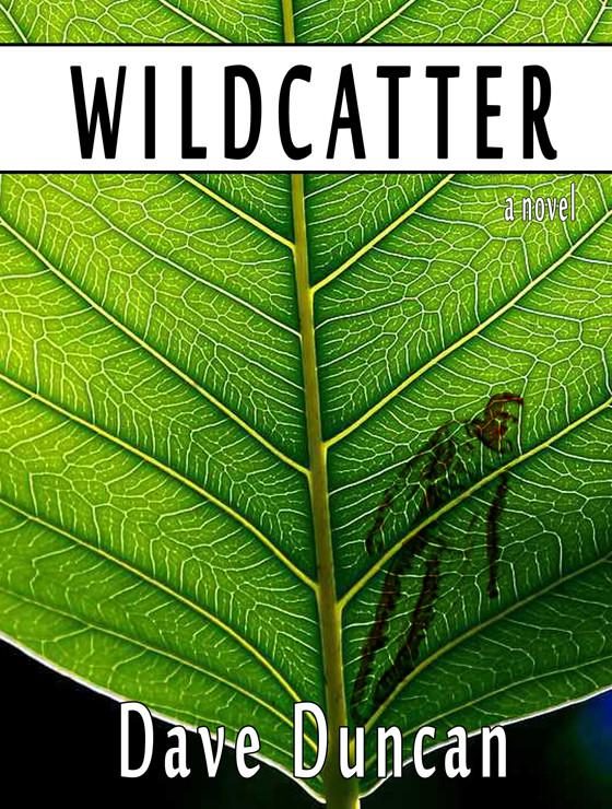 Обложка книги «Wildcatter»