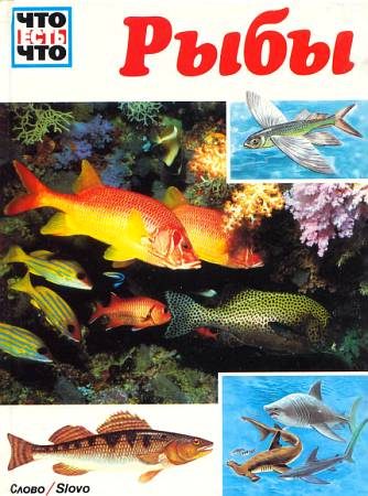 Обложка книги «Рыбы»