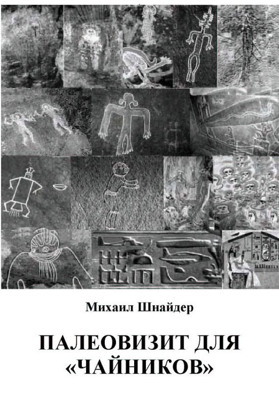Обложка книги «Палеовизит для «чайников»»