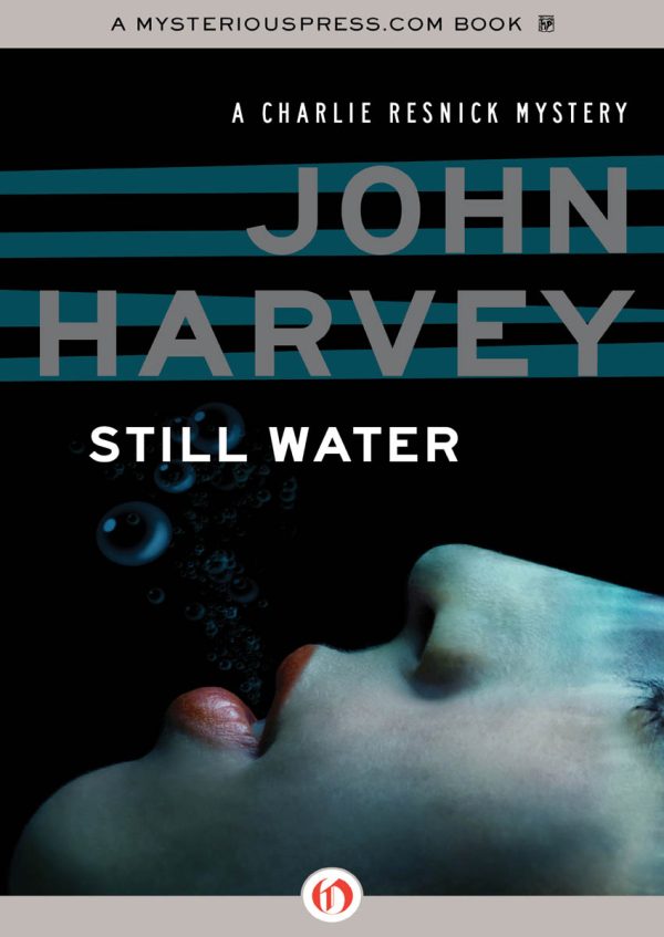 Обложка книги «Still Waters»