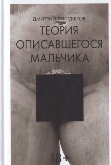 Обложка книги «Теория описавшегося мальчика»