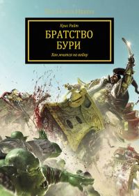 Обложка книги «Братство Бури»