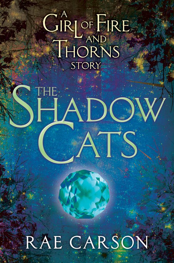 Обложка книги «The Shadow Cats»