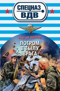 Обложка книги «Погром в тылу врага»