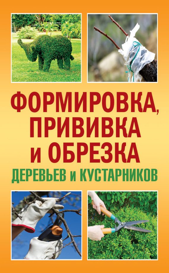 Обложка книги «Формировка, прививка и обрезка деревьев и кустарников»