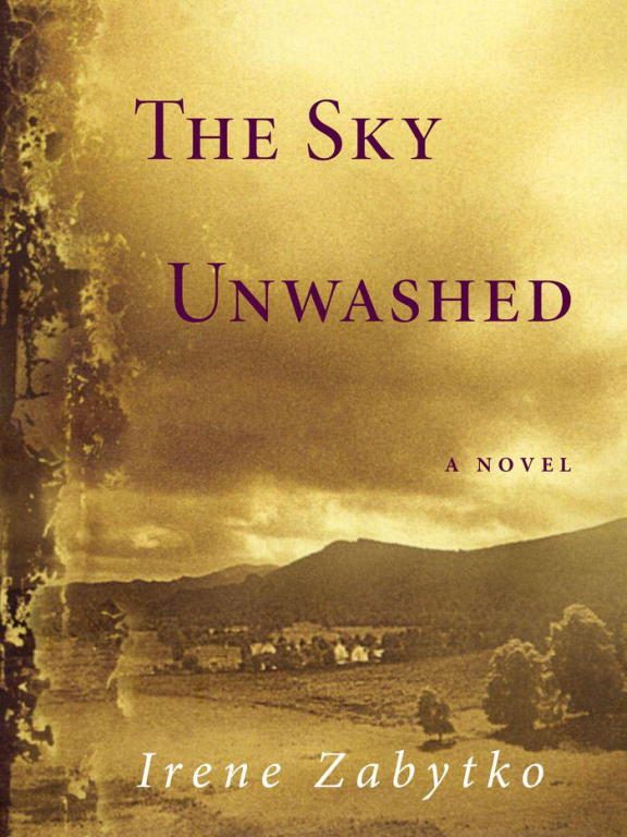 Обложка книги «The Sky Unwashed»