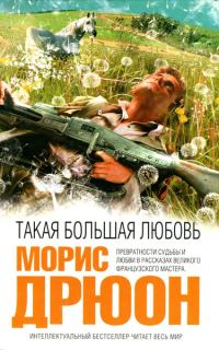 Обложка книги «Такая большая любовь»