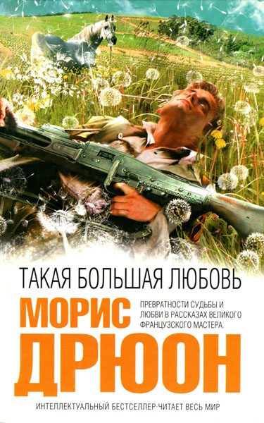 Обложка книги «Такая большая любовь»