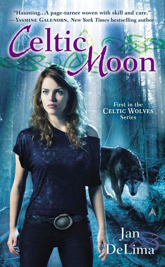 Обложка книги «Celtic Moon»