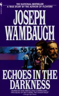 Обложка книги «Echoes in the Darkness»