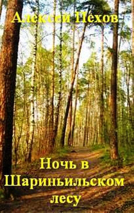 Обложка книги «Ночь в Шариньильском лесу»
