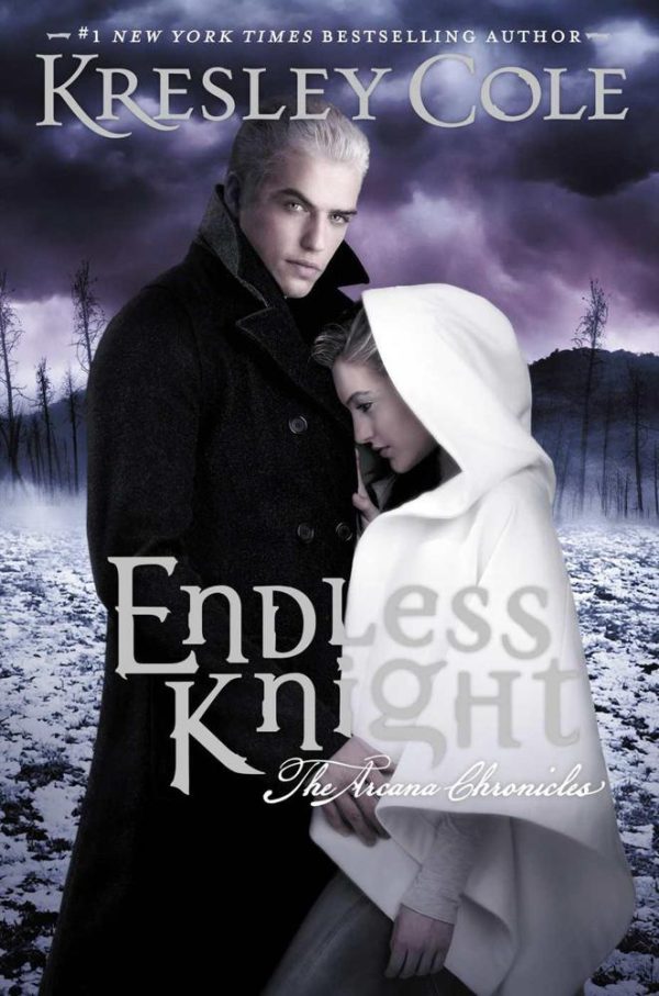Обложка книги «Endless Knight»