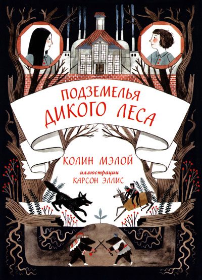 Обложка книги «Подземелья Дикого леса»
