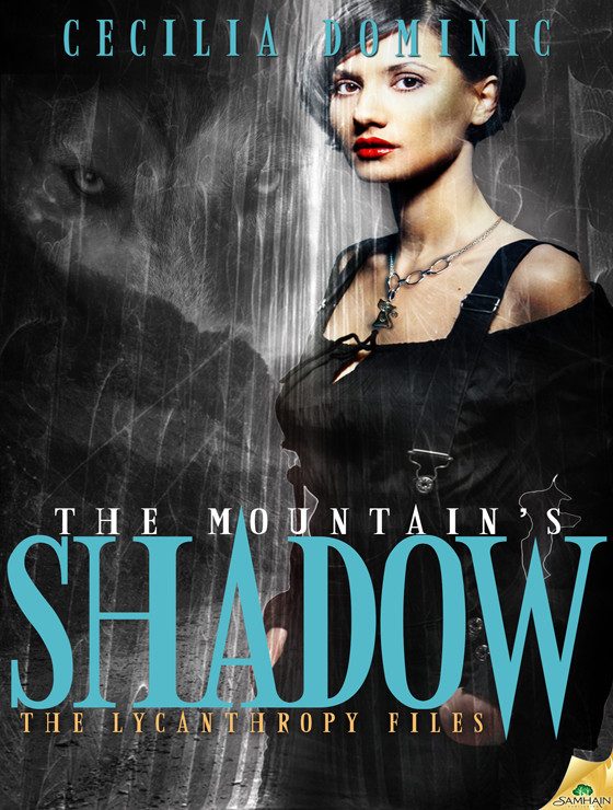 Обложка книги «The Mountain's Shadow»