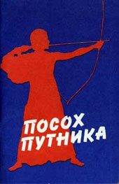 Обложка книги «Посох путника»