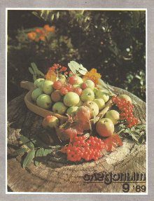 Обложка книги «Вова на планете Тарарум»
