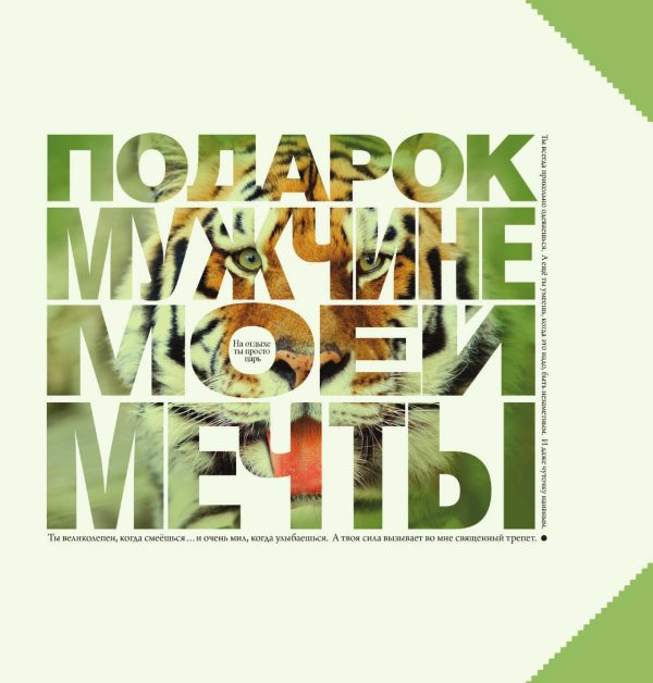 Обложка книги «Подарок мужчине моей мечты»