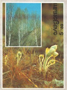 Обложка книги «Жук в муравейнике»