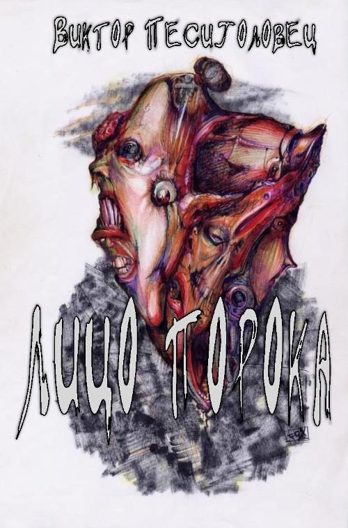 Обложка книги «Лицо порока»