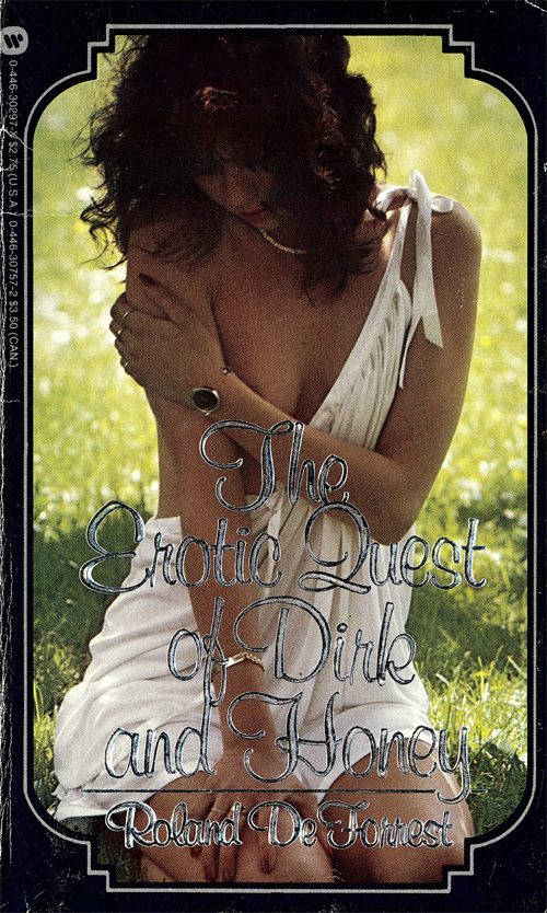 Обложка книги «The Erotic Quest of Dirk and Honey»