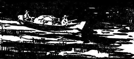 Обложка книги «Кольцо анаконды»