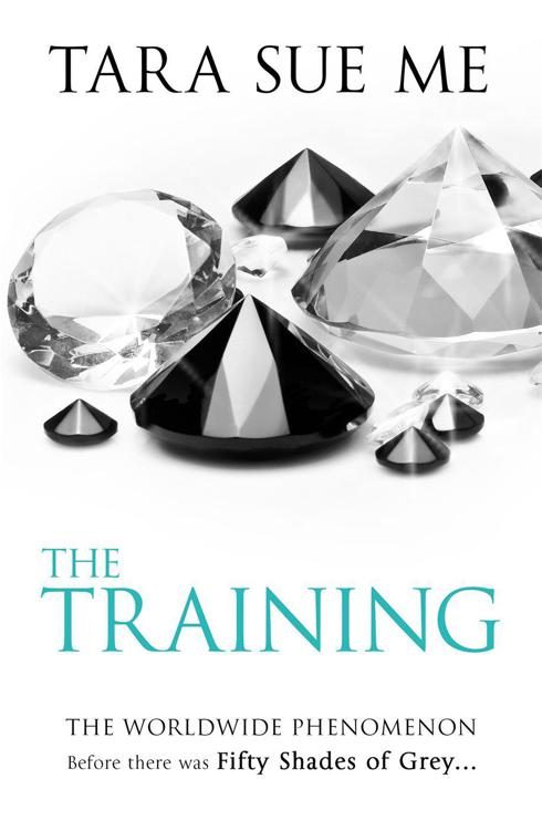 Обложка книги «The Training»