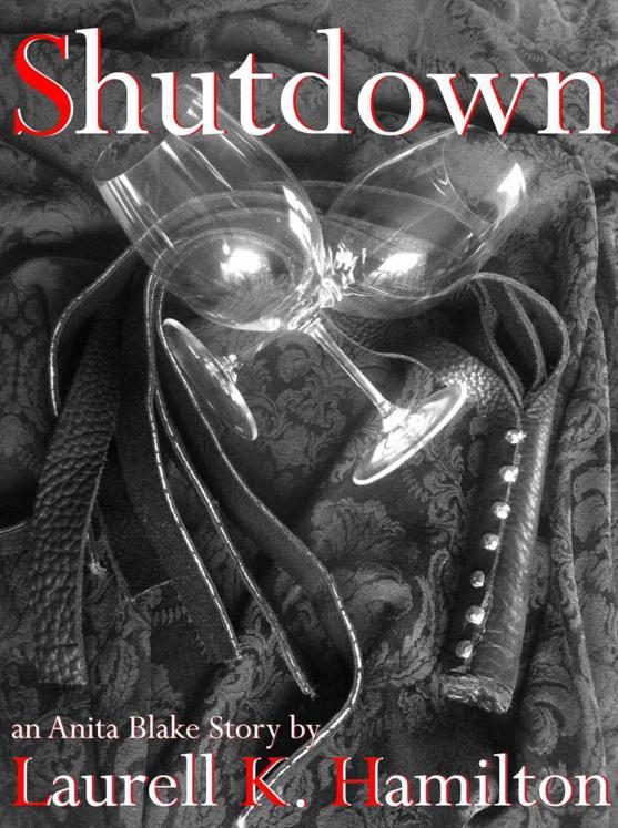 Обложка книги «Shutdown»