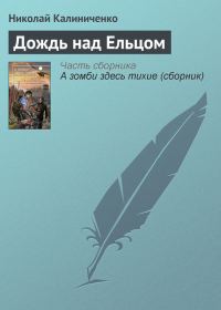 Обложка книги «Дождь над Ельцом»