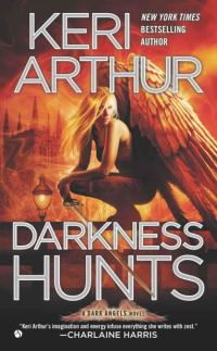Обложка книги «Darkness Hunts»